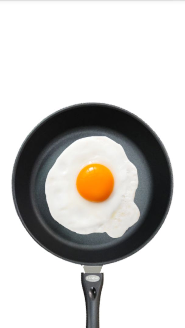 FriedEgg极速版