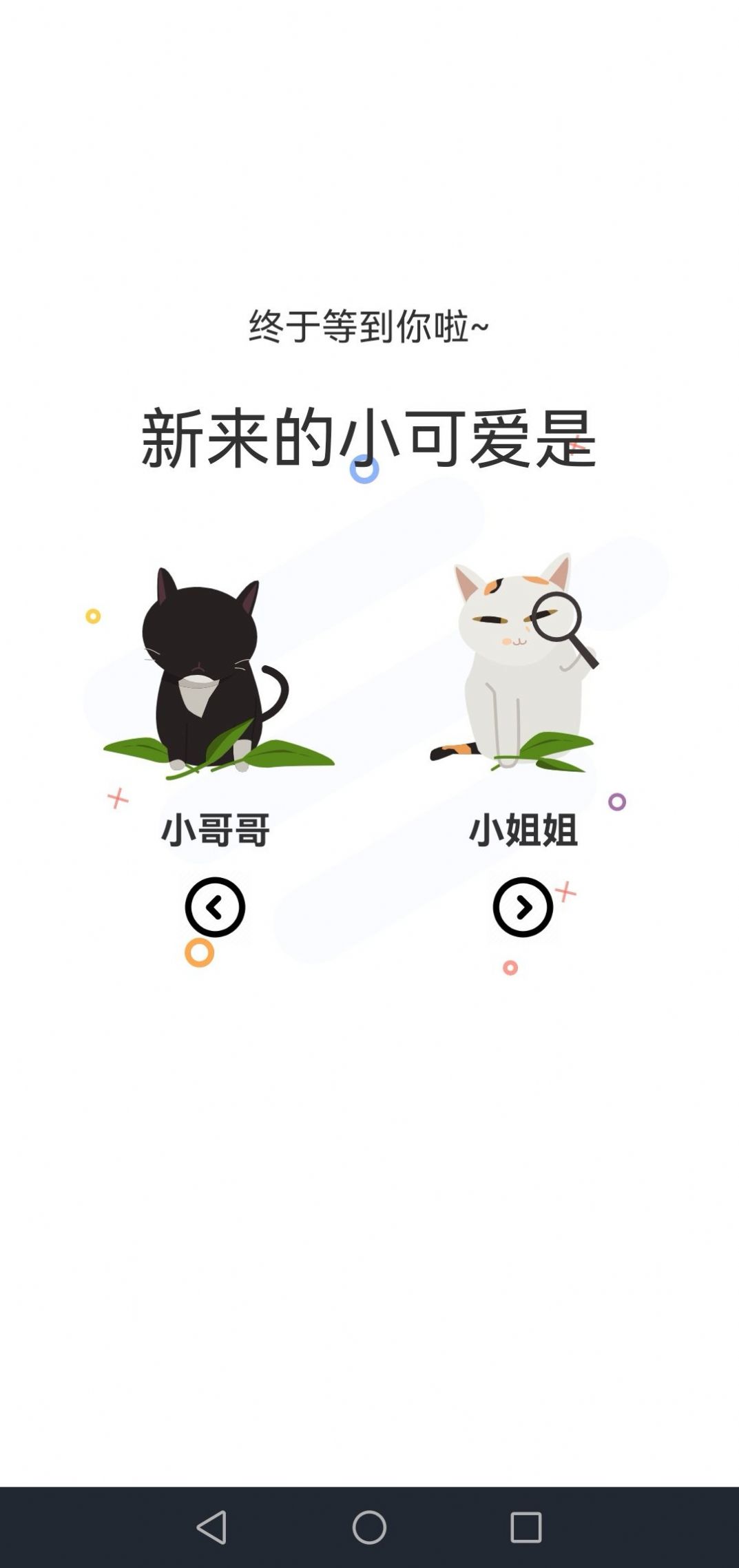 喵上漫画在线版