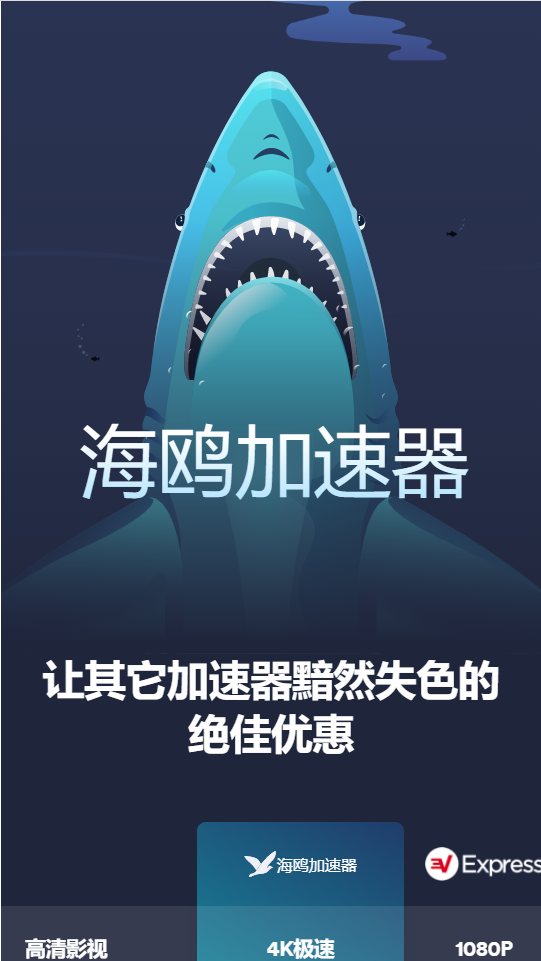 海鸥加速器极速版