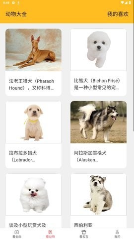 火焰视频精简版