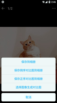 猫咪记账本免费版