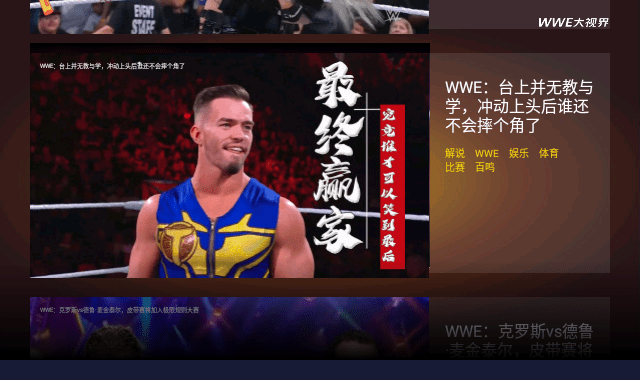 wwe大视界中文版