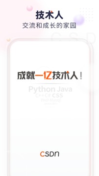 CSDN中文版
