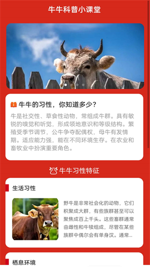 牛气WiFi中文版