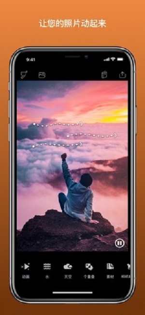Pixaloop专业版
