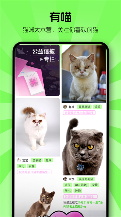 附近有喵安卓版