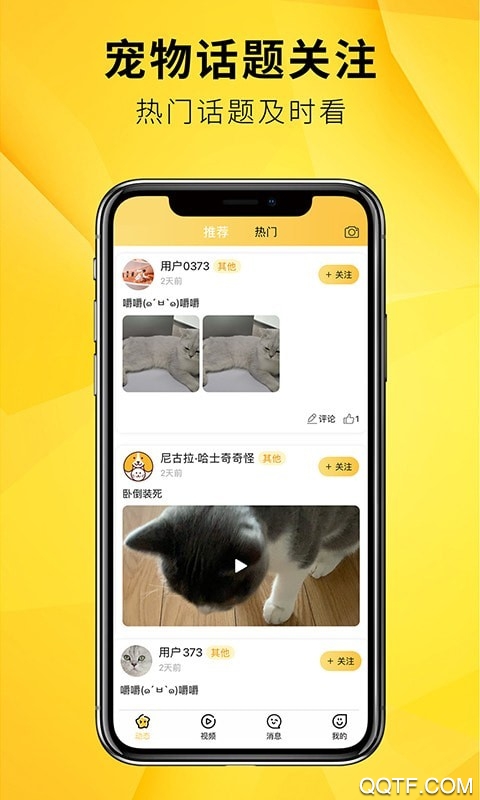 毛宠团官方版
