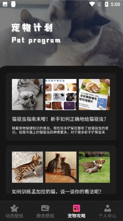 猫咪壁纸极速版