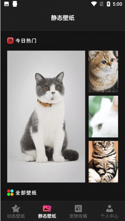 猫咪壁纸极速版