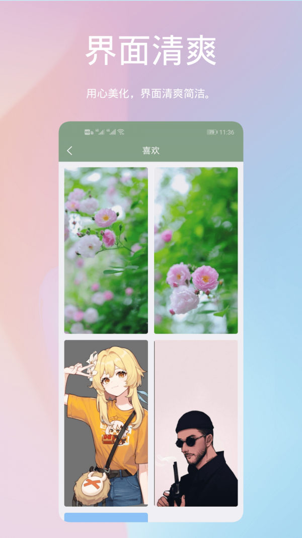 鹦鹉螺壁纸福利版