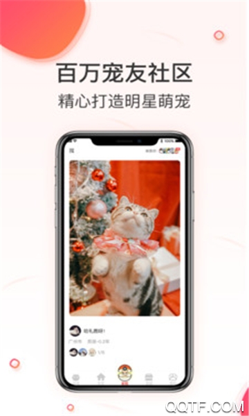 相宠经典版