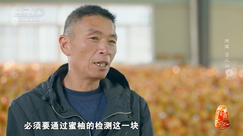 新际TV高清版