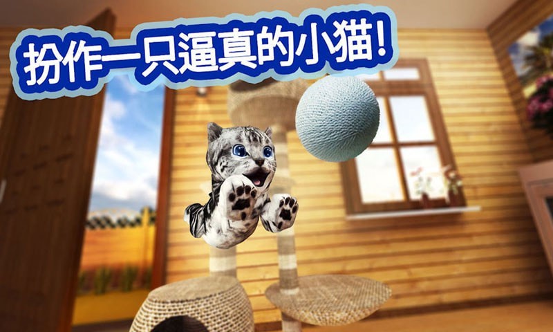 迷你小猫城市生存免费版