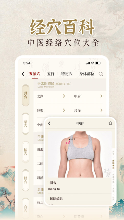 中医大全汇编经典版