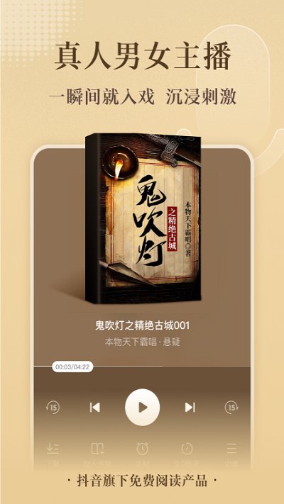 红果小说无广告版