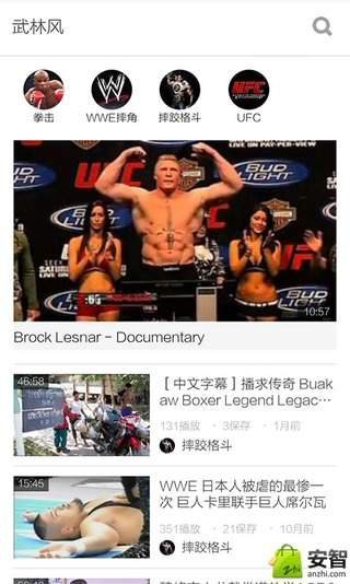 武林风安卓版