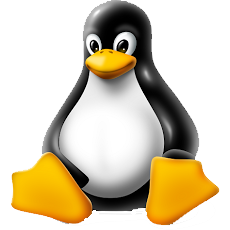 Linux系统命令及其使用详解