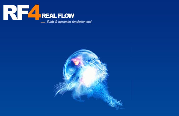 RealFlow2013正式版