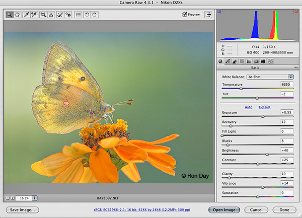 Adobe Camera Raw 9.10