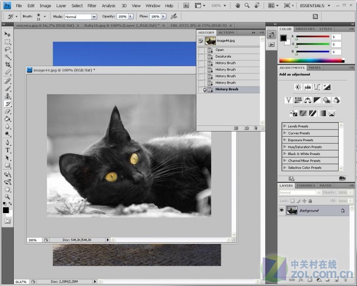 Adobe Photoshop CS3中文版