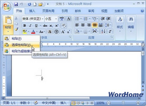 Microsoft Office 2007完整版