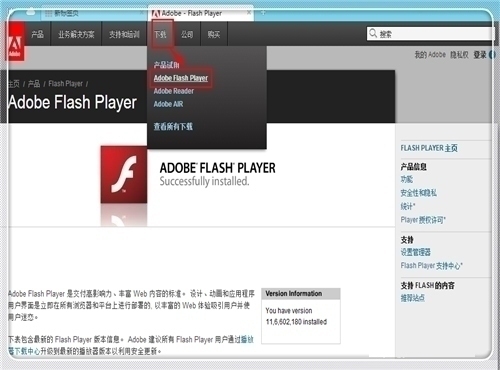 Adobe Flash Player 30.0.0.85