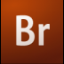 Adobe Bridge CS3