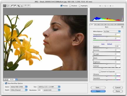 Adobe Camera Raw 9.10