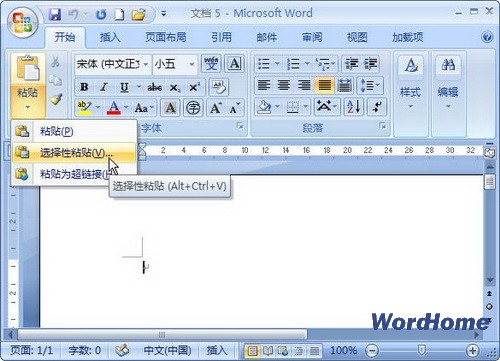 Microsoft Word2007完整版