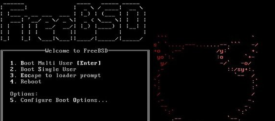 FreeBSD中文版 6.0