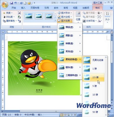 Microsoft Word2007完整版