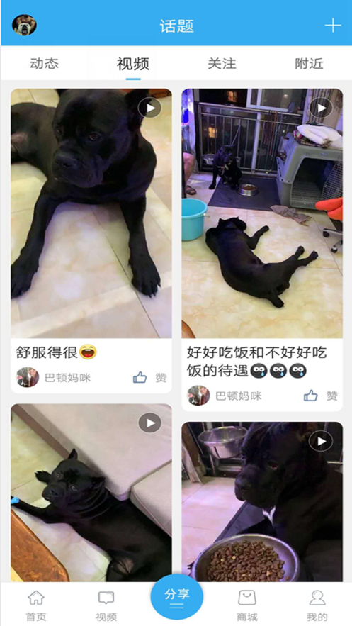 猛犬俱乐部