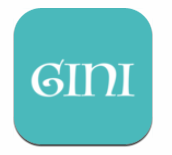 Gini