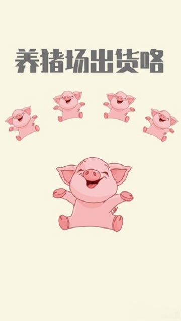 快乐养猪猪