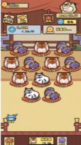 养猫计划