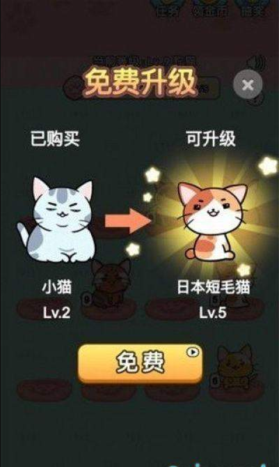 猫咪星球