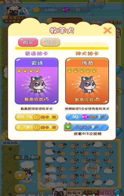 天天来放羊