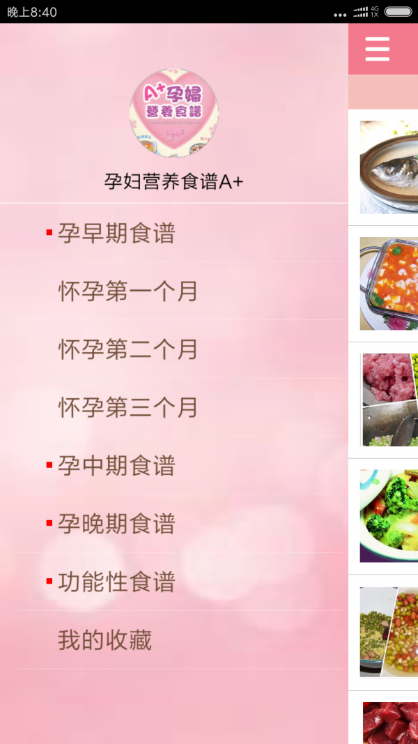 孕妇营养食谱A+官方版