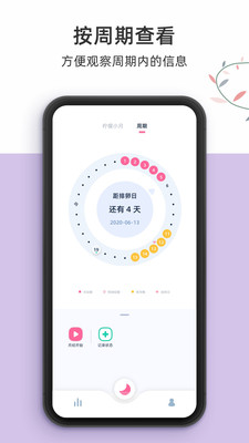 柠檬小月经典版