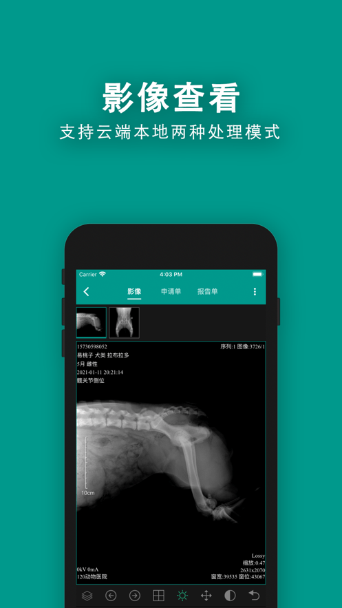 慧龙兽医影像经典版