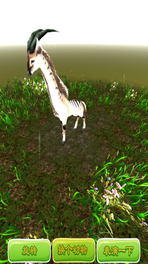 3D野生动物园九游版