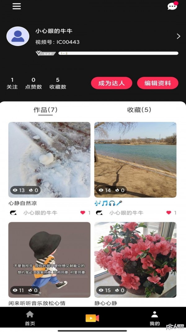 九鲸视频高清版