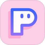 PINS中文版