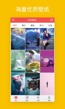 动态壁纸精选大全经典版
