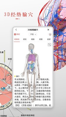 3DBody解剖破解版