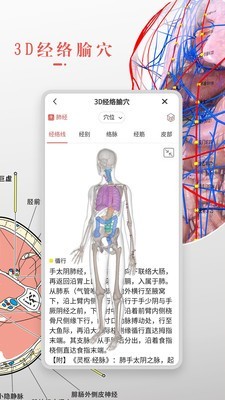 3DBody解剖免费版