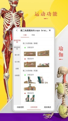 3DBody解剖免费版