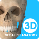维萨里3D解剖破解版