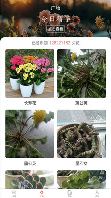 识花神器极速版