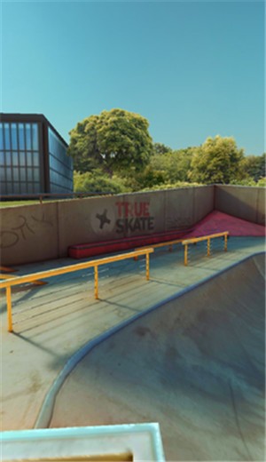 True Skate破解版